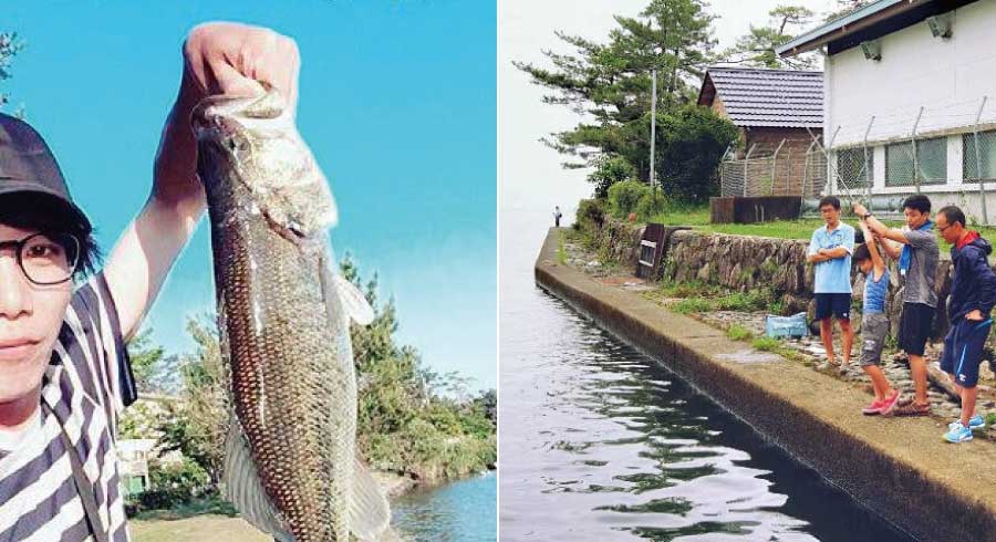 近江舞子のブラックバス釣り情報